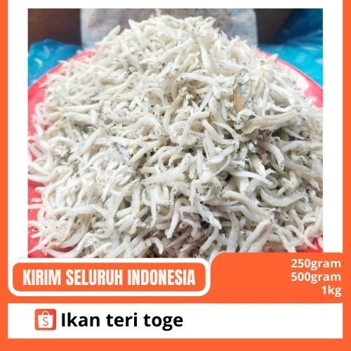 

Ikan teri toge murah berkualitas