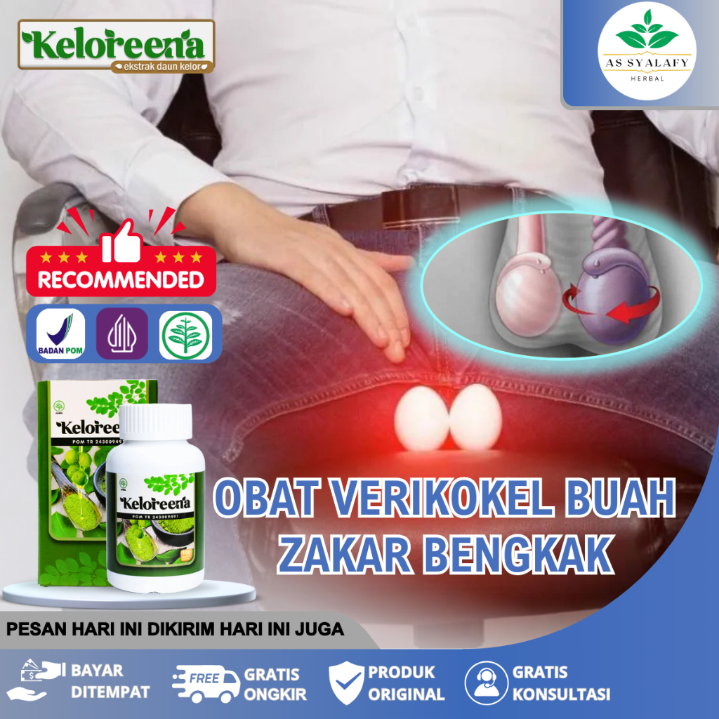 Obat Verikokel Buah Zakar Bengkak Nyeri Testis Hernia Turun Berok Benjolan Buah Zakar Anak & Dewasa