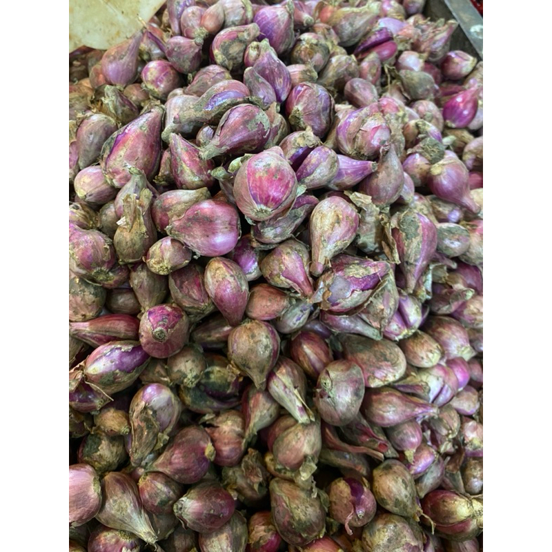 

Bawang Merah asli Brebes