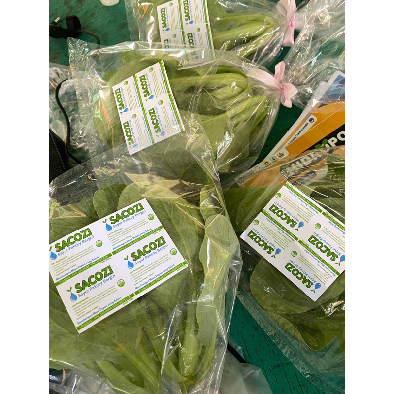 

SACOZI (Sayur Pakcoy Bergizi)