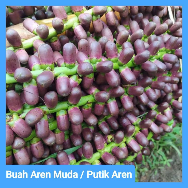 

Buah Aren Muda / Langari 1kg