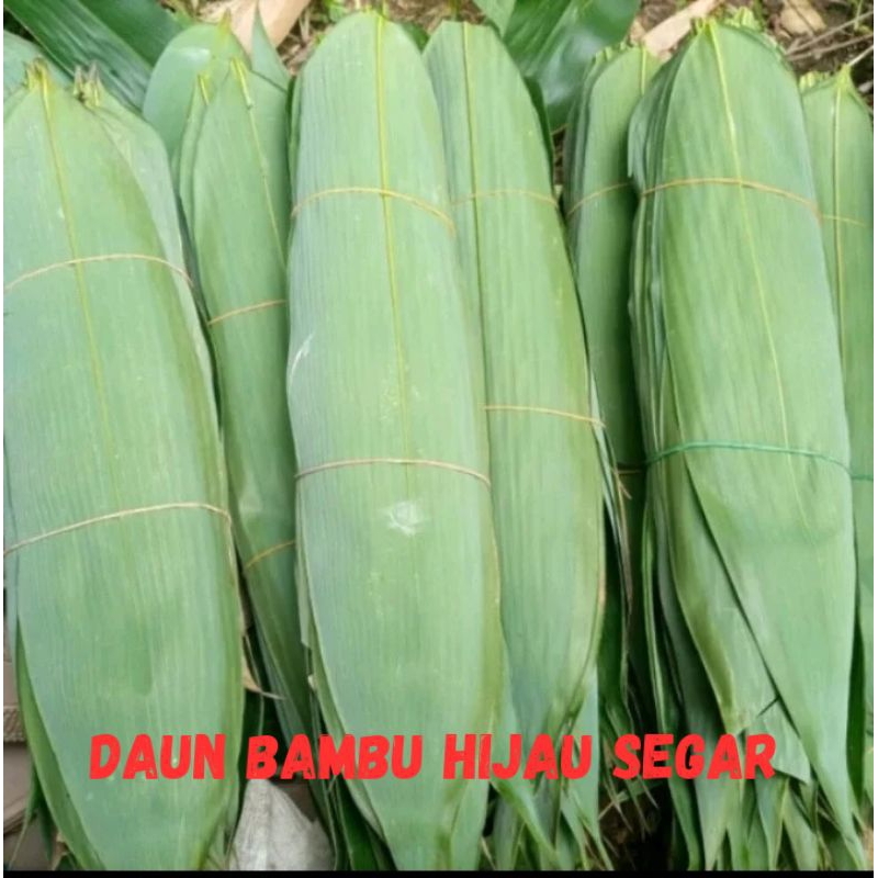 

daun bambu segar 100 lembar