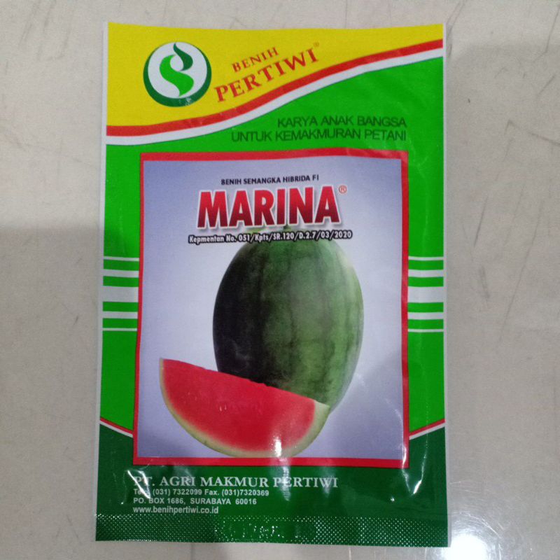 Semangka Non Biji Marina F1 @12pcs