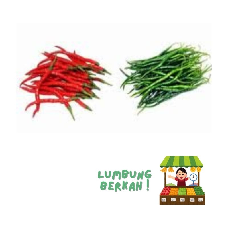 

Cabe Cabai Keriting Merah Hijau Fresh Kirim INSTAN