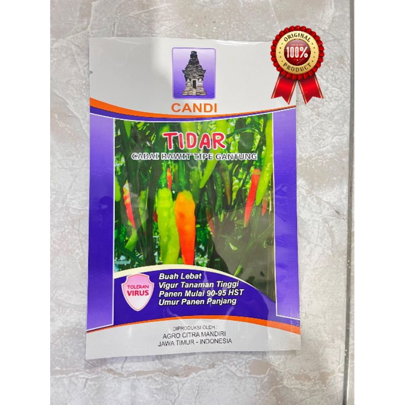 Benih Cabe Rawit unggul Tidar