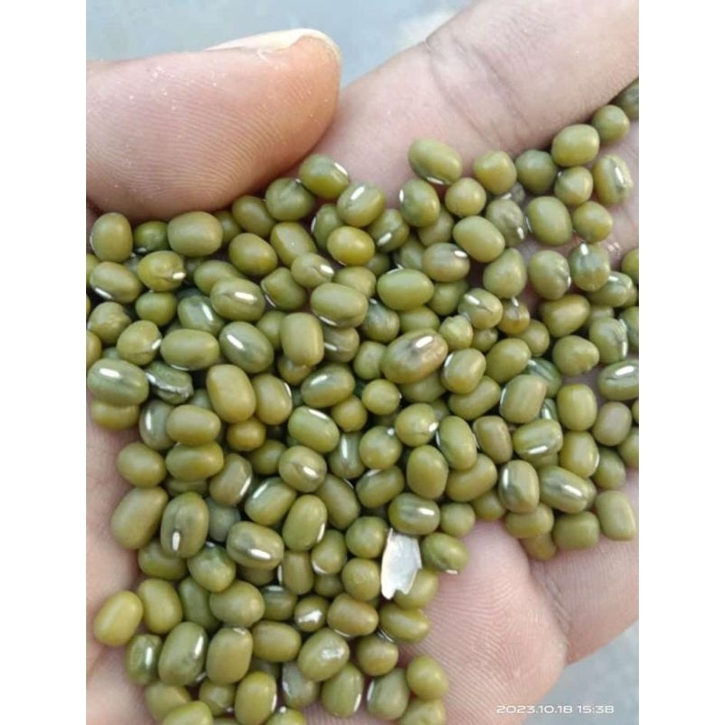 

kacang ijo super untuk bubur kemasan 500gr- 1kg