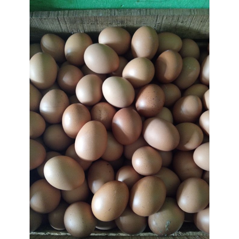 

telorayam500gr
