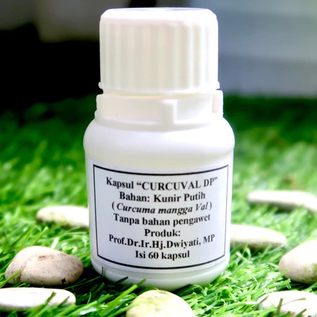 Kapsul Kunir Putih Ori Prof Dwiyanti isi 60 Kapsul