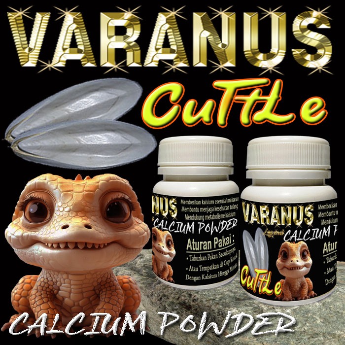 VARANUS CUTTLE BUBUK TULANG SOTONG KALSIUM ALAMI REPTILE VARANNUS BIAWAK SALVATOR SAVMON LIZARD SAVA