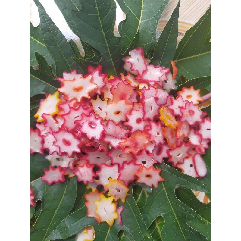 

KERUPUK BUNGAH MENTAH 500GRM/ KERUPUK BINTANG/ KERUPUK SEBLAK/ KERUPUK GORENG/ KERUPUK MAKAN/ KERUPUK DAUN JERUK