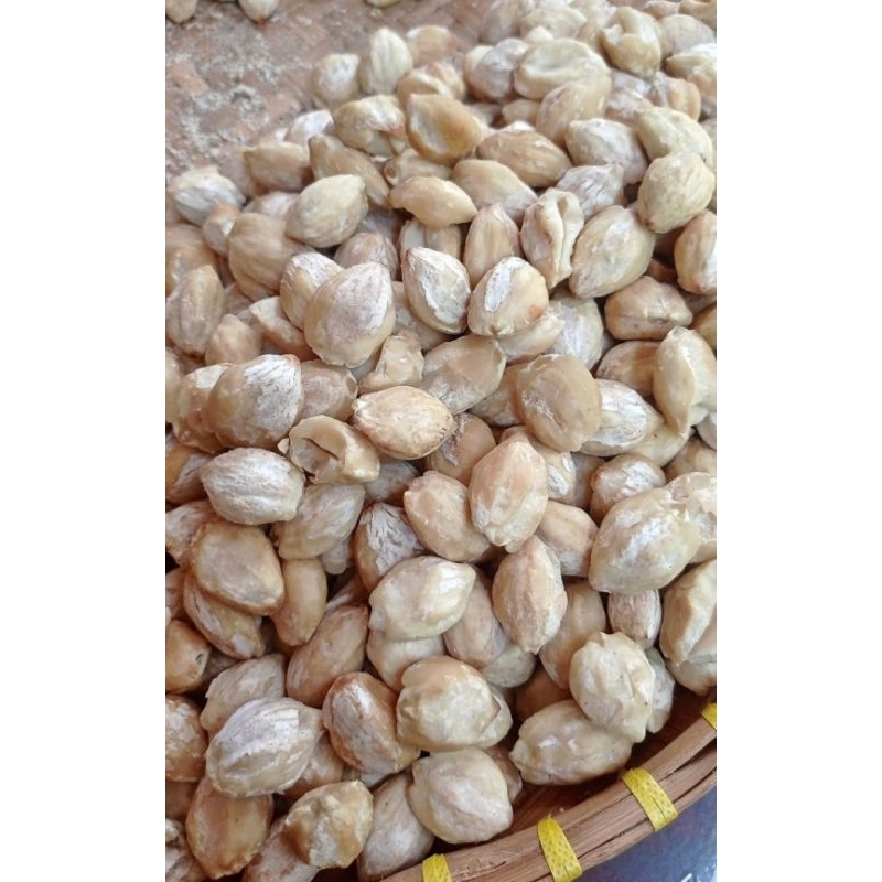 

1kg nan]kemiri kupas tinggal buat bumbu