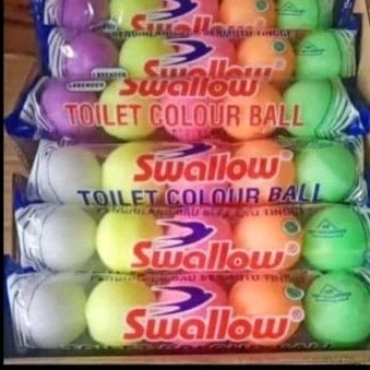 Swallow kapur barus kamar mandi