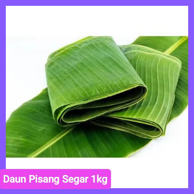 

Daun Pisang segar buat bungkus makanan 1kg