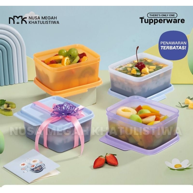 Tupperware Small Cozy Nest per pcs 500ml