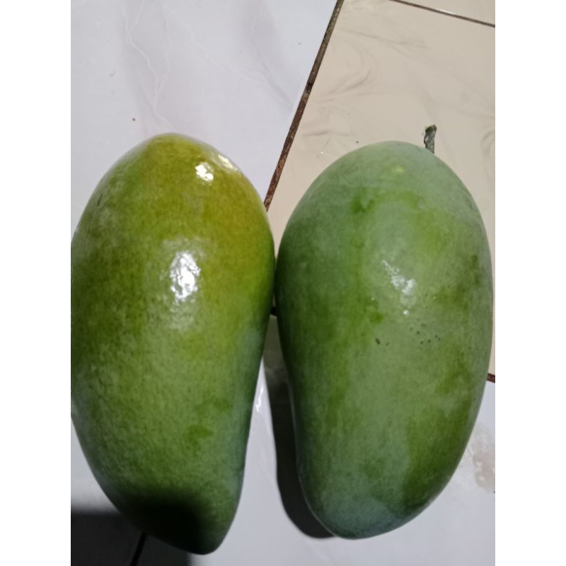

MANNGA KIOJAY berat 2 kg mengkal