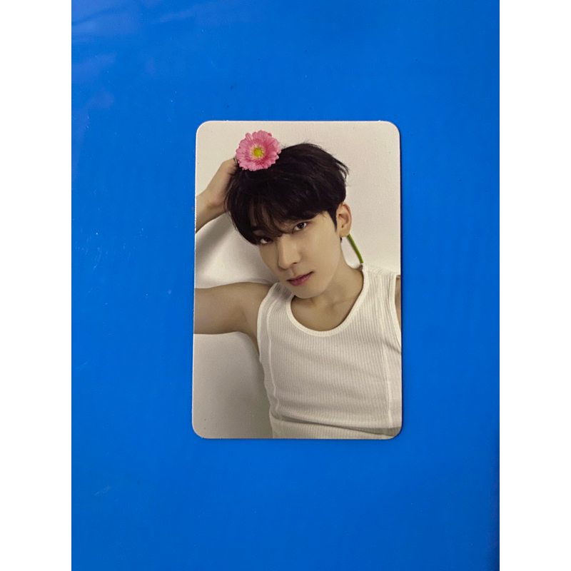 

PHOTOCARD WONWOO SEVENTEEN RIGH HERE DEER VER / WONWOO BUNGA ATAS / WONWOO KETEKAN