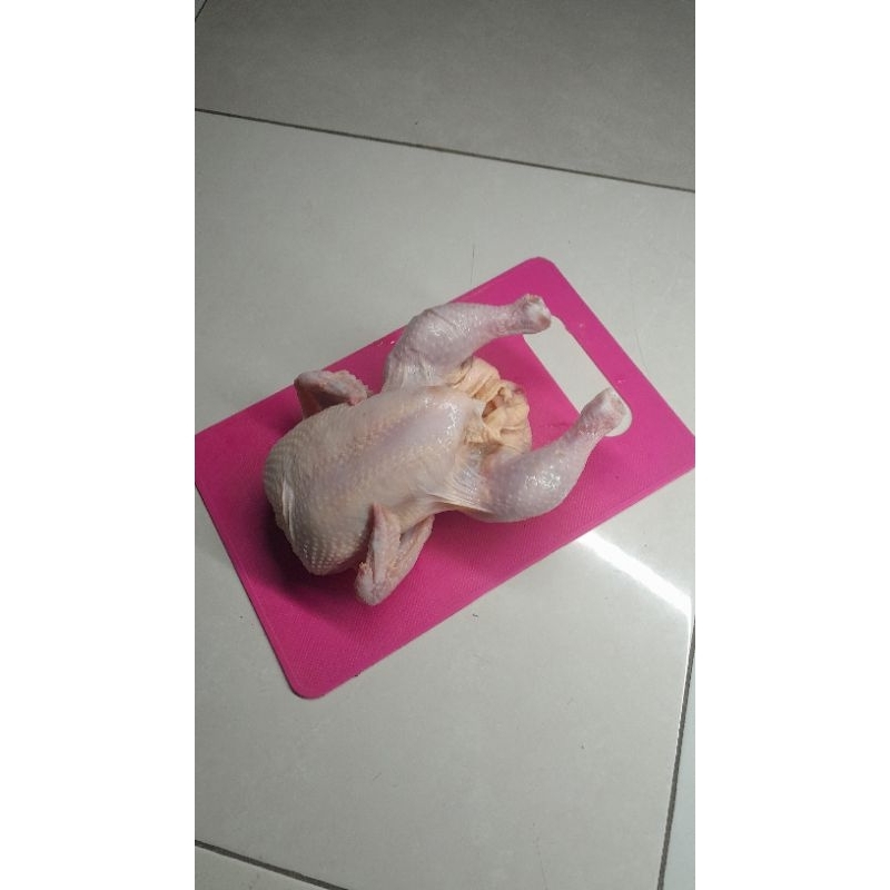 

Ayam Broiler Utuh 300gr