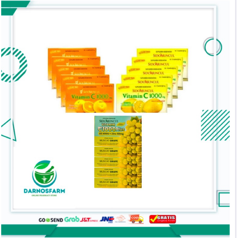 C 1000 Sidomuncul Box