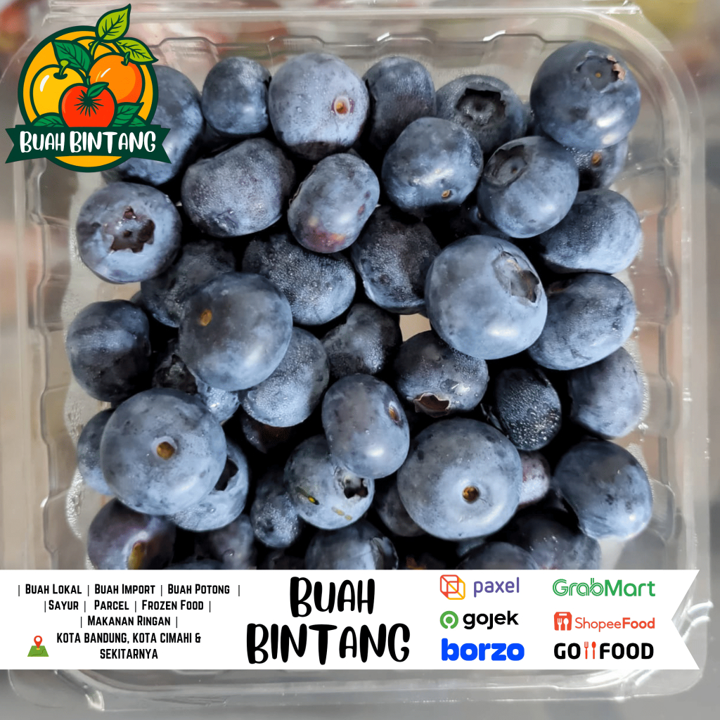 

Blueberry 1 Pack 125 Gr - Buah Bintang