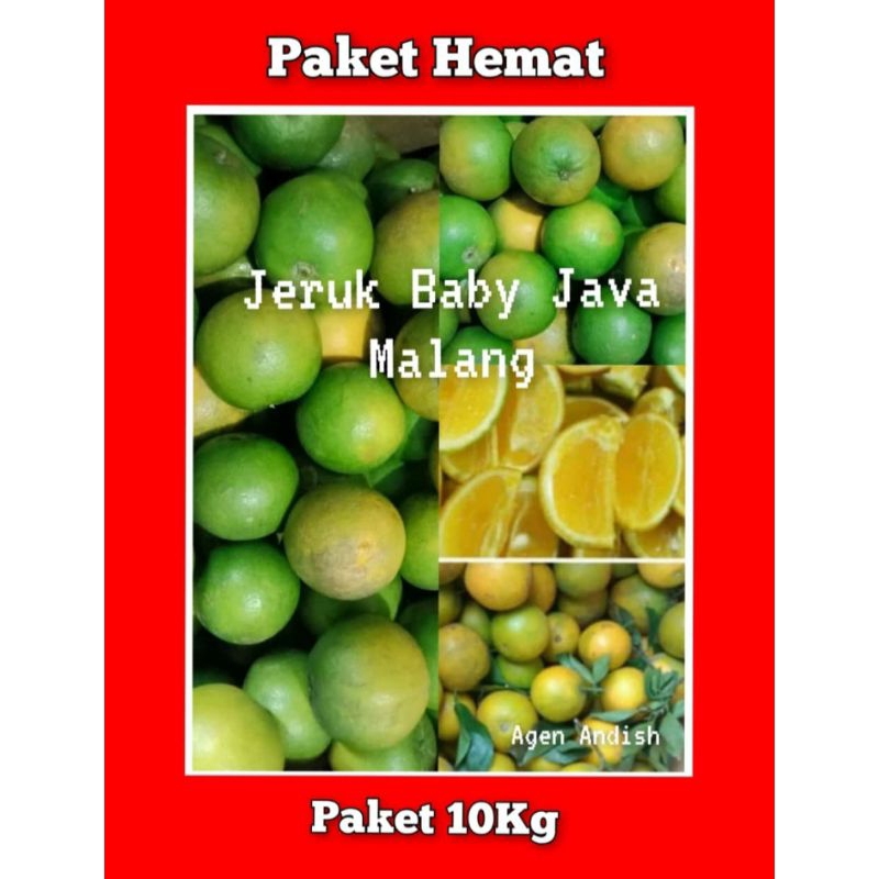 

Jeruk Baby Java Malang, Paket Hemat 10Kg (Ukuran Campur)