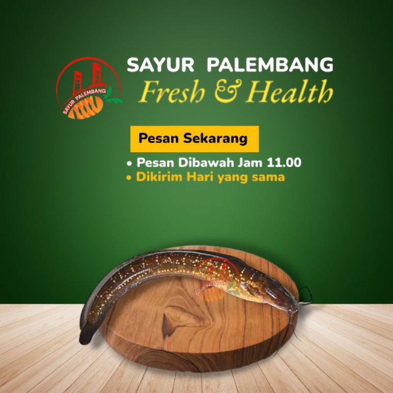 

Ikan Lele Sawah / Ikan Lele Limbat - Sayur Palembang