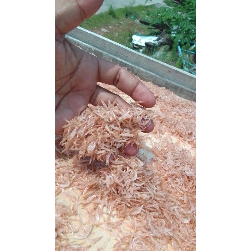 udang kering premium 1kg