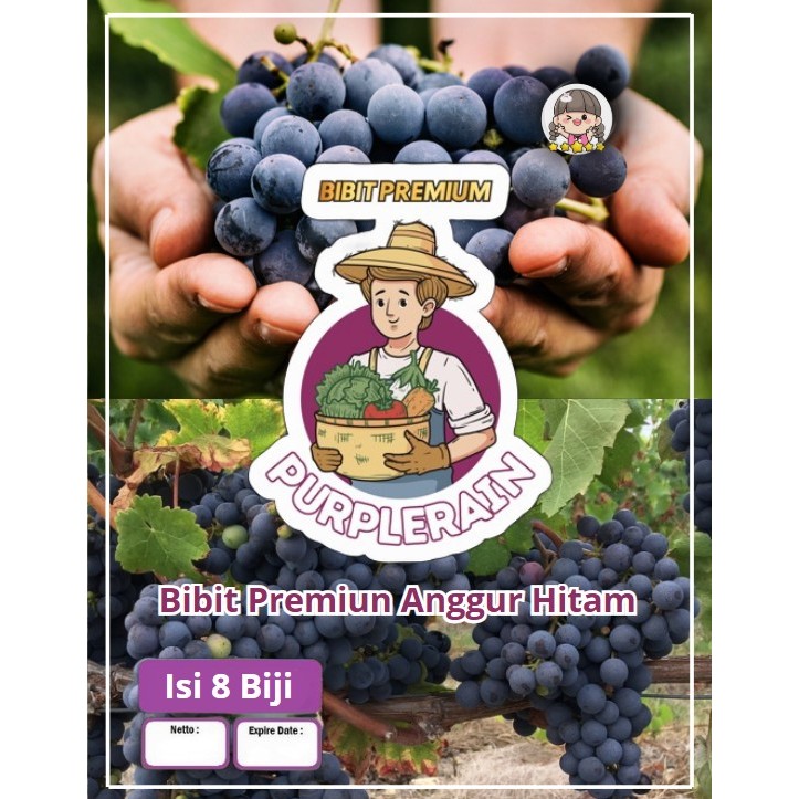 Bibit Unggul Anggur Hitam |Biji Benih Anggur