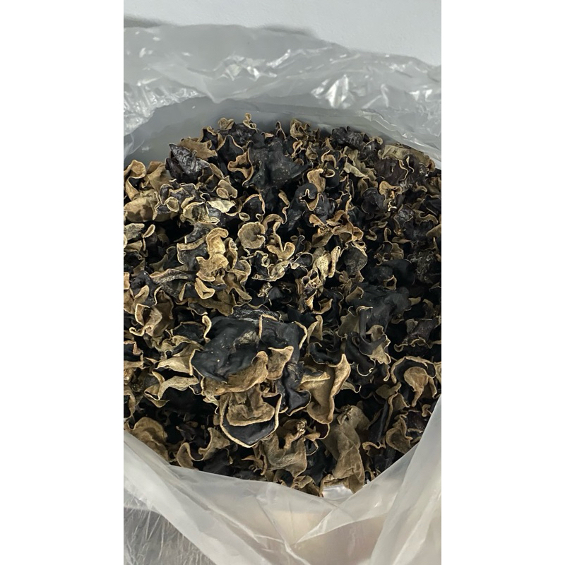 

JAMUR KUPING KERING SUPER PREMIUM