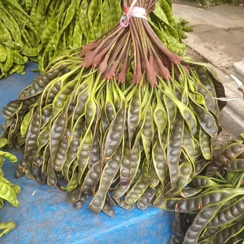 

Pete mateng masak pohon