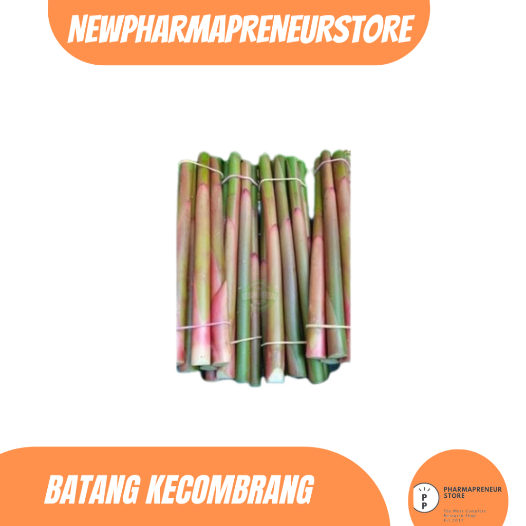 

DRIED SERBUK BATANG KECOMBARANG BEST QUALITY