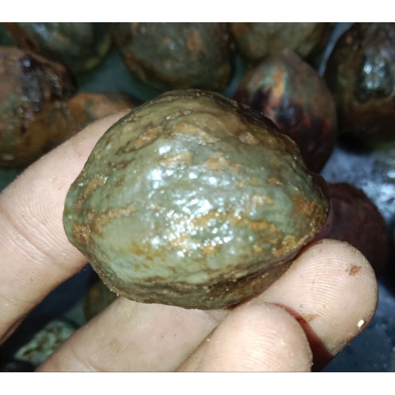 Muncang yanti kaliwiro