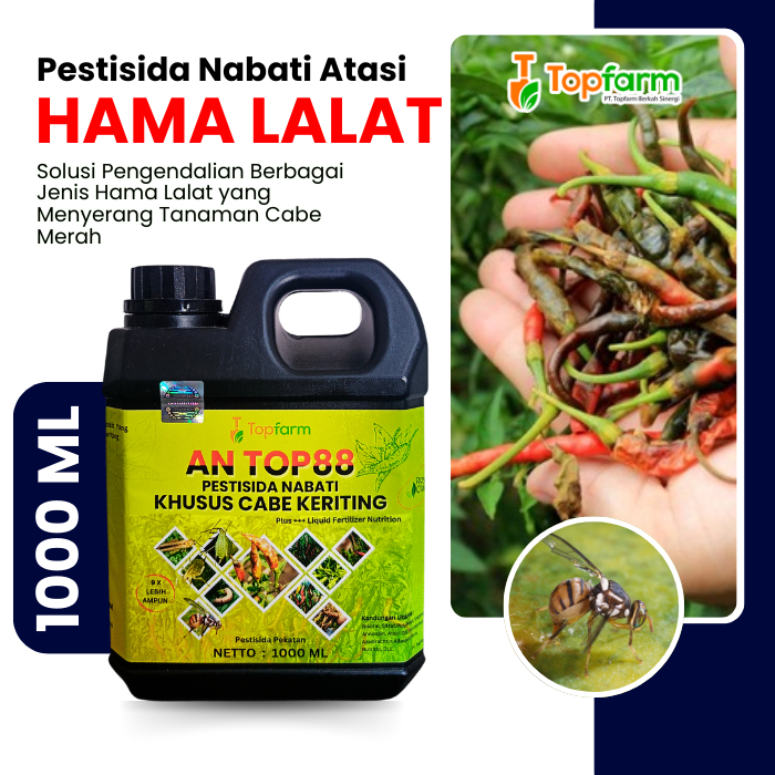 Pestisida Topfarm / Obat Semprot Cabe Cepat Merah / Obat Keriting Daun Cabe Merah / Obat Cabe Merah 