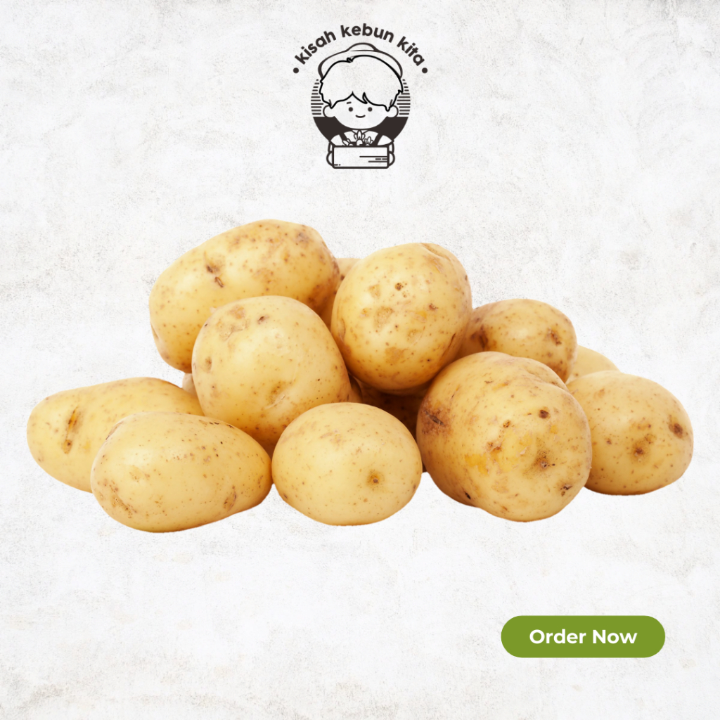 

KENTANG 250 GRAM - 1 KG (JOGJA)