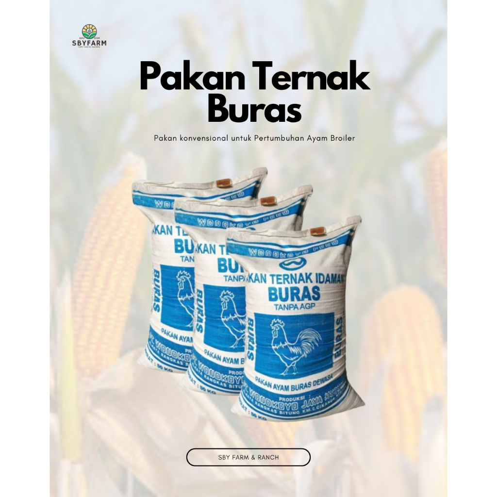 Pur Pakan Ternak Idaman Buras 125 250 500 gram 1 Kilogram - Ayam / Bebek dewasa murah DOC  521 Tingg