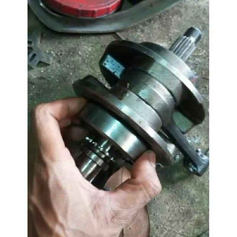 Kruk AS tiger standar