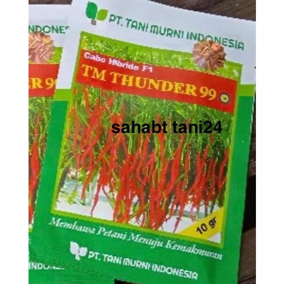 Benih cabe keriting TM THUNDER 99 10 gram cabai hibrida kriting dari tani murni cabe tm thunder 10gr