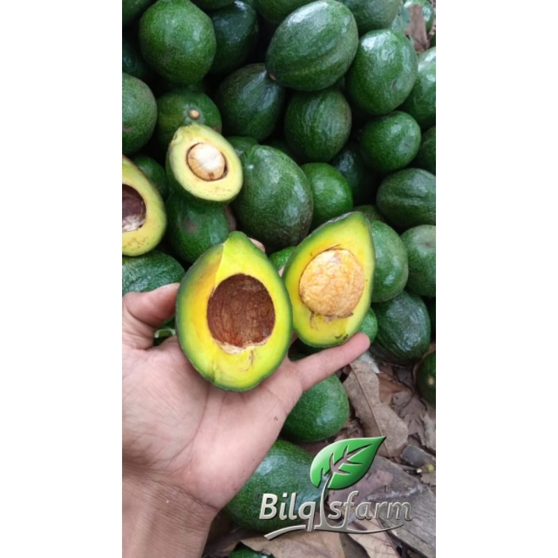 

Alpuket Mentega Super Fresh 1kg Isi 3 sampai 5