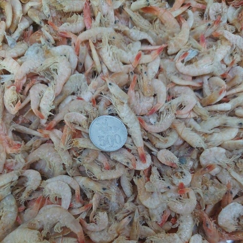 

ikan rebon sedang 1kg