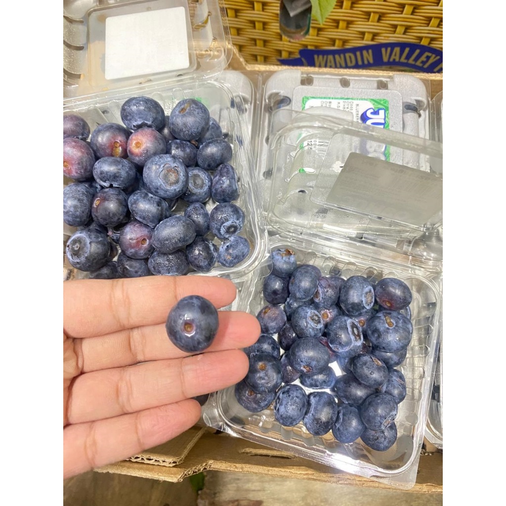 

FROZEN Blueberry | Buah Berry Fresh Frozen