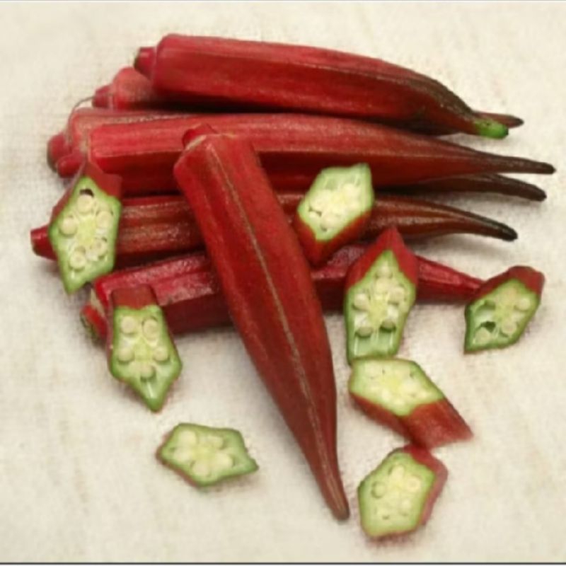 

biji benih sayuran okra merah isi 25 butir