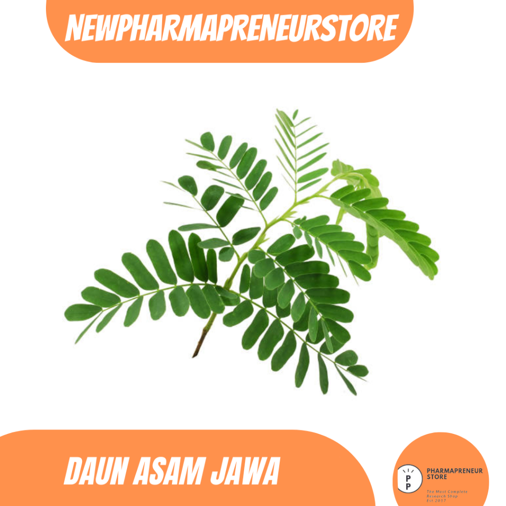 

EKSTRAK DAUN ASAM JAWA BEST QUALITY