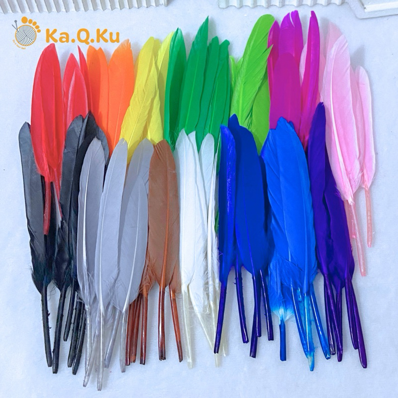 BULU AYAM HIAS / BULU AYAM WARNA WARNI 25pcs