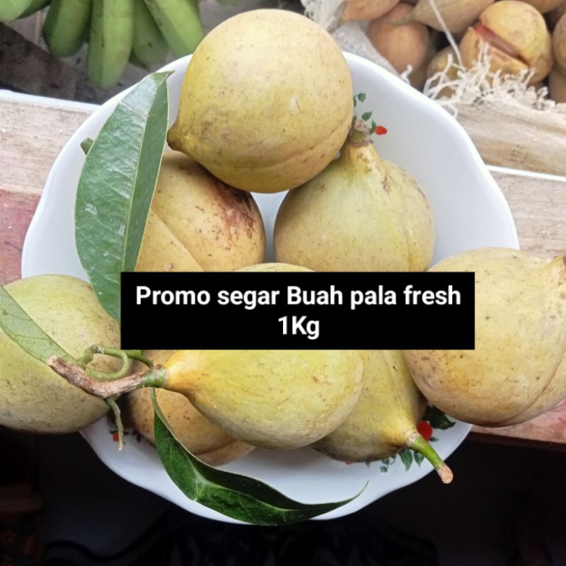 

Promo buah pala segar fresh 1kg