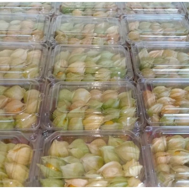 

MURAH BANGET!!! buah ciplukan/golden berry/ cecendet/ gonled berryies fresh 100% dari petani asli