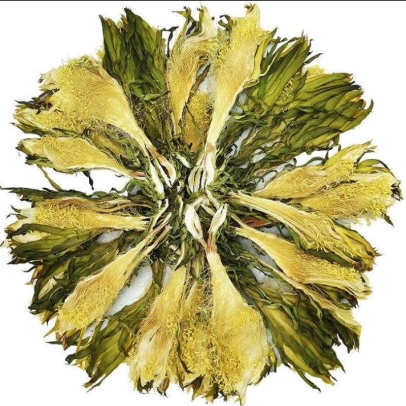 

Night Blooming Cereus/Overloard Flower/Ba Wang Hua 100gr