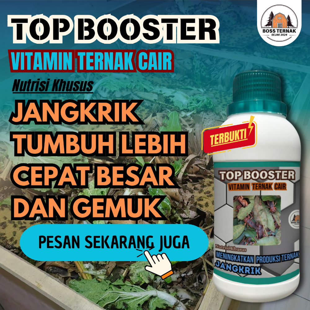 Vitamin Probiotik Jangkrik Cair Untuk Mempercepat Masa Tumbuh Lebih Singkat Boss Ternak