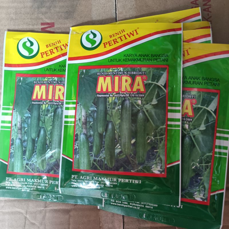 BENIH TIMUN MIRA BY PERTIWI