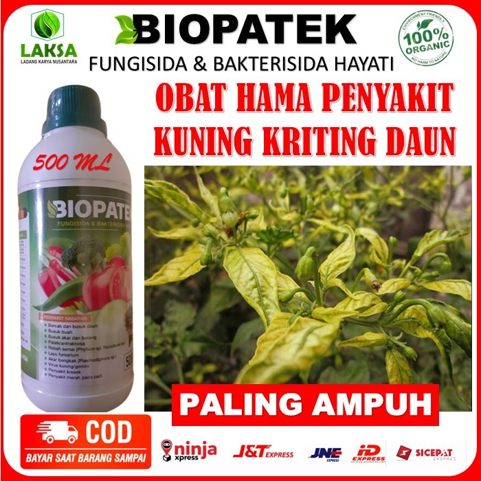 obat semprot atasi kuning kriting daun cabe, timun, tomat, kacang DLL - BIOPATEK FUNGISIDA BAKTERISI