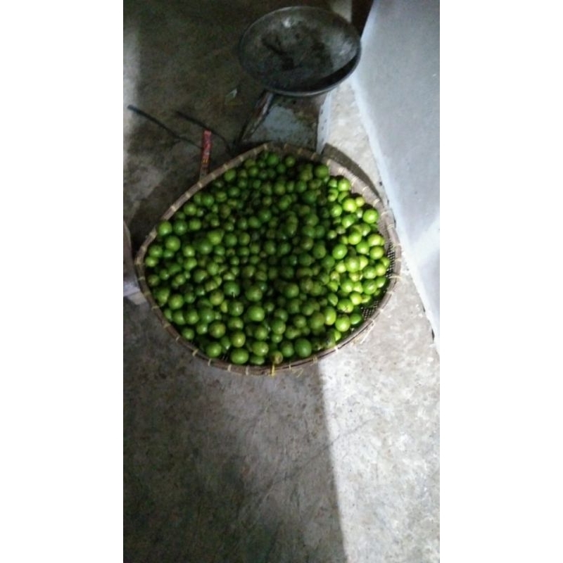 

Gandaria/ Jatake