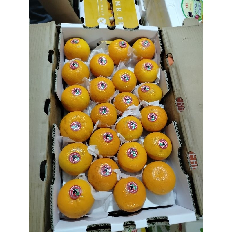 

jeruk kupas Mandarin /kg